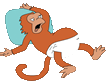 monkey